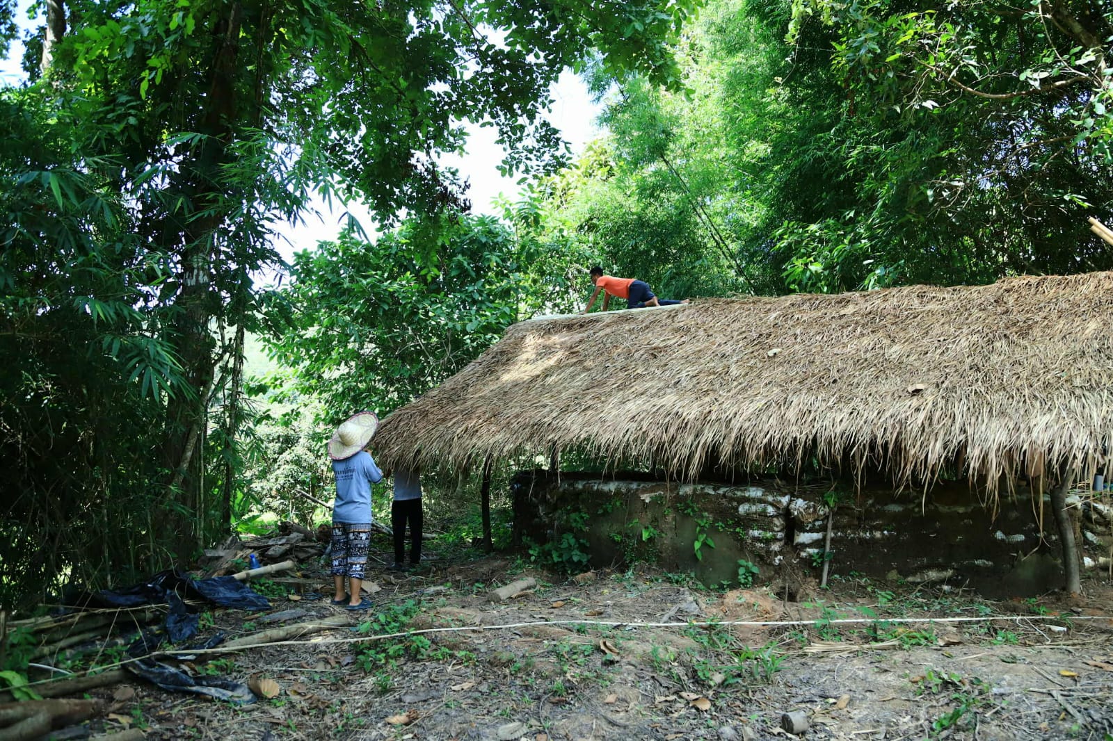 Chicken Coop